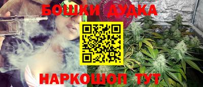 прущие грибы Ирбит