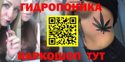 прущие грибы Ирбит