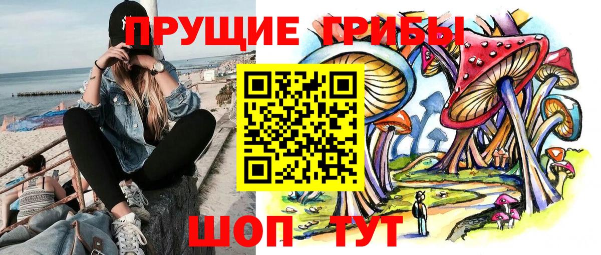 Псилоцибиновые грибы мухоморы  Вход с VPN  Люберцы  Псилоцибиновые грибы Psilocybe 